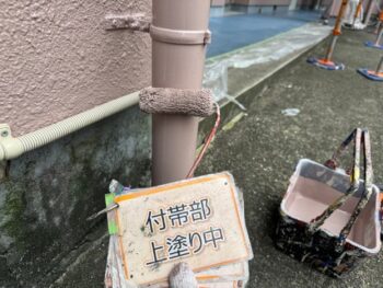 雨樋塗装③