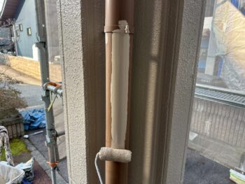 雨樋塗装②