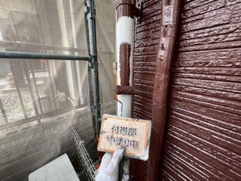 雨樋塗装①