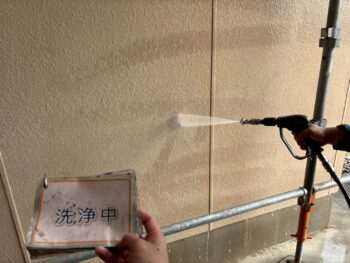 バイオ洗浄